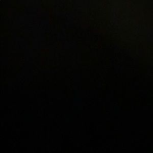 Meet your Posher, Trevor